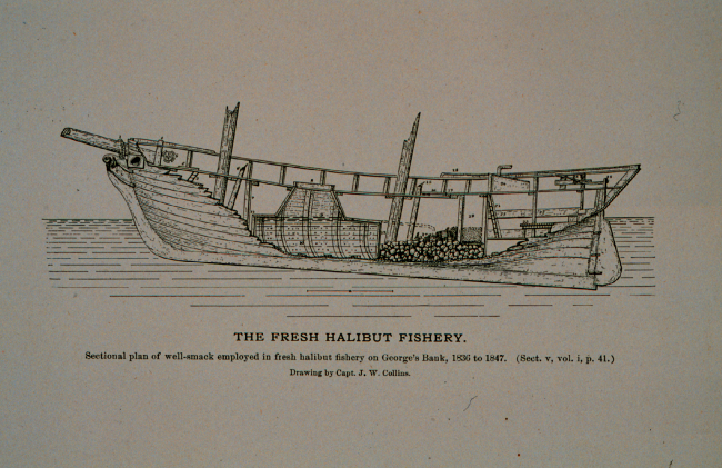 Sectional plan of well-smack employed in the fresh halibut fisheryAs used on George's Bank 1836 to 1845Drawing by Capt