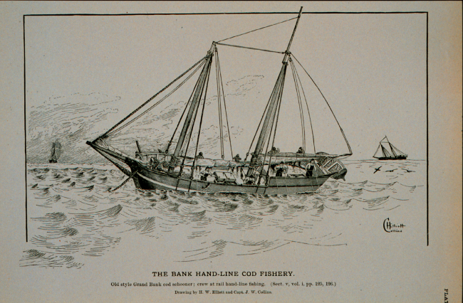 Old style Grand Bank cod schooner; crew at rails hand-line fishingDrawing by H