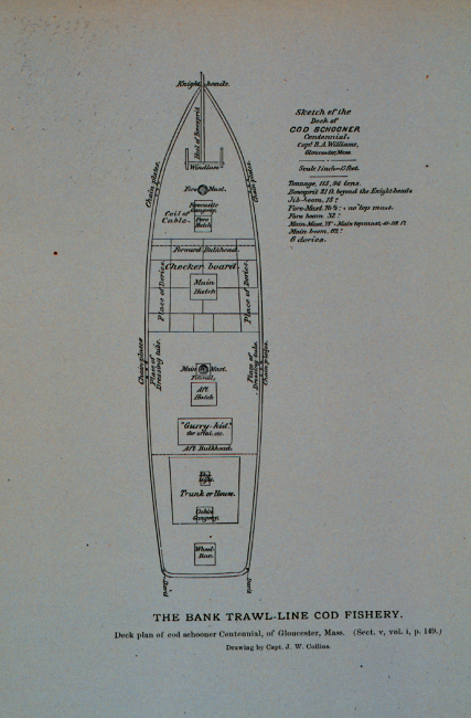 Deck plan of schooner Centennial, of GloucesterDrawing by Capt