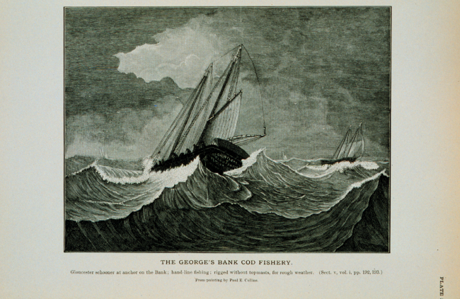 Gloucester schooner at anchor on George's Bank in winterHand-line fishing for cod; rigged without topmasts for rough weatherFrom painting by Paul E
