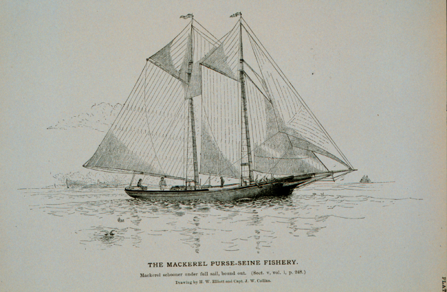 Mackerel schooner under full sail, bound outDrawing by H