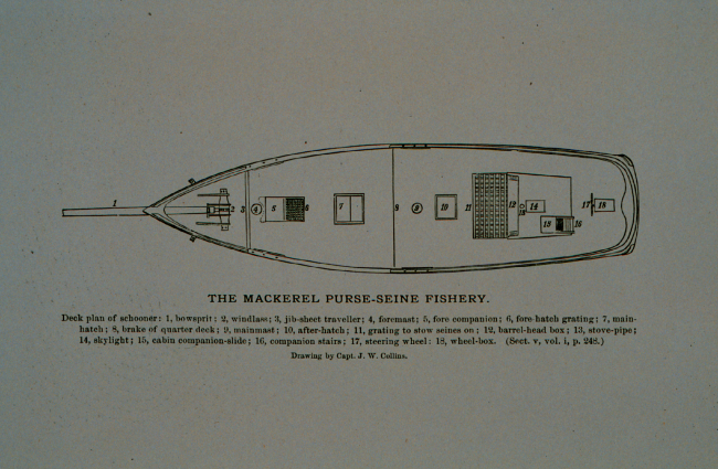 Deck plan of mackerel schoonerDrawing by Capt
