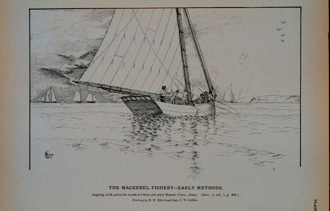 Angling with poles for mackerel from an old Noank, Connecticut, sloopDrawing by H