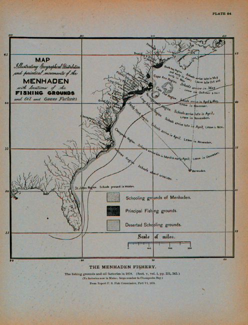 Map illustrating geographical distribution and periodical movements of menhadenAlso locations of fishing grounds and oil and guano factories in the year 1878From Report U