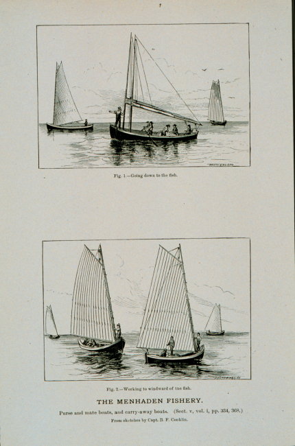 Menhaden purse and mate boats