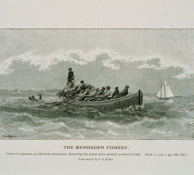 Crew of schooner, in old-style seine-boat, throwing the purse-seineFrom sketch by  J