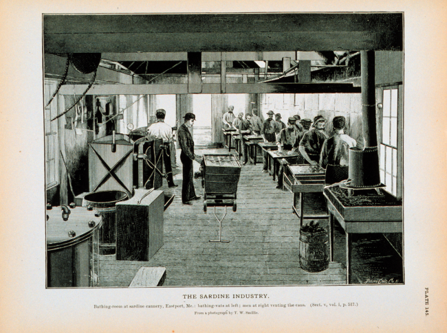 Bathing room at sardine cannery, Eastport, MaineBathing vats at the left; men at right venting cansFrom a photograph by T