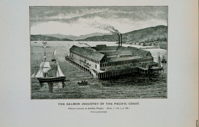 Salmon cannery at Astoria, OregonFrom a photograph