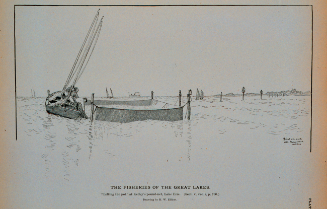 Lifting the pot at Kelley's pound-net, Lake ErieDrawing by H