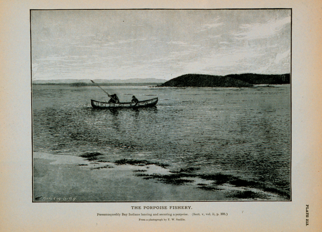 Passamaquoddy Bay Indians lancing and securing a porpoiseFrom a photograph by T