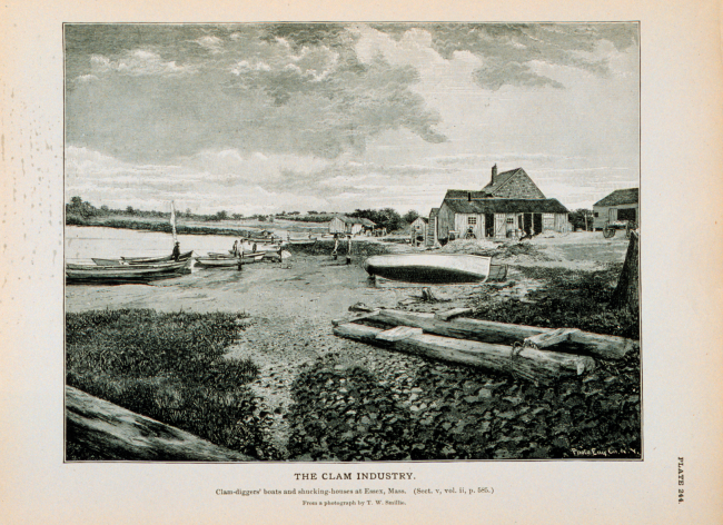 Clam-diggers' boats and shucking-houses at Essex, MassachusettsFrom photograph by T