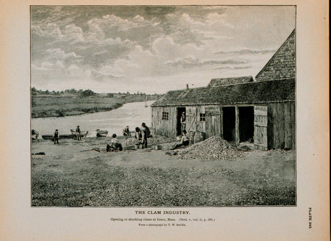 Opening or shucking clams at Essex, MassachusettsFrom photograph by T