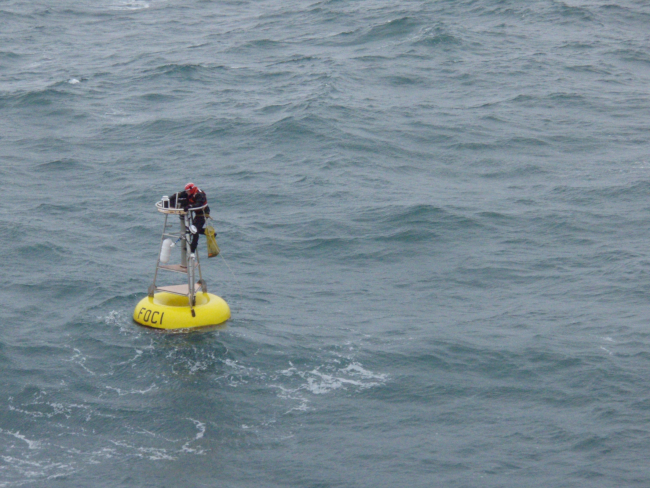 FOCI (Fisheries Oceanography Coordinated Investigations) buoy mooring operations off the NOAA Ship MILLER FREEMAN