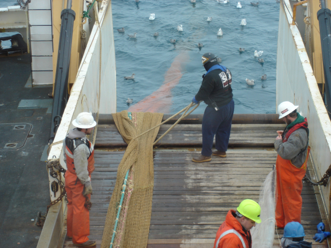 Deploying trawl net on NOAA Ship MILLER FREEMAN