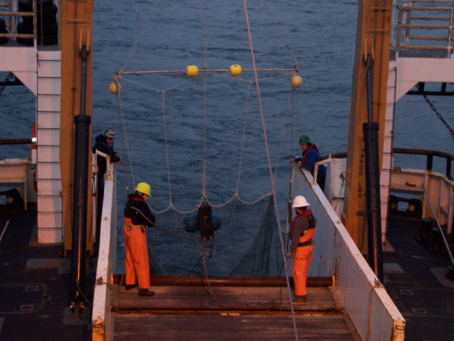 Deploying net on the NOAA Ship MILLER FREEMAN