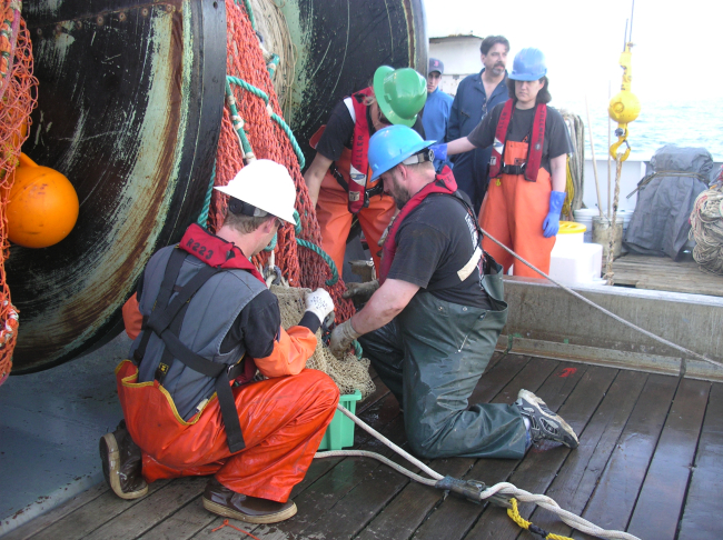 Emptying a very small trawl - called a water haul when netcomes up nearly empty