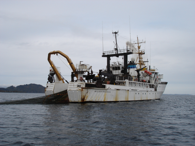 View of NOAA Ship MILLER FREEMAN with net in the water off west coast