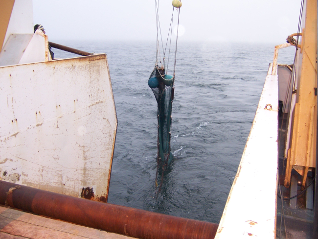 Midwater trawl bringing up small catch