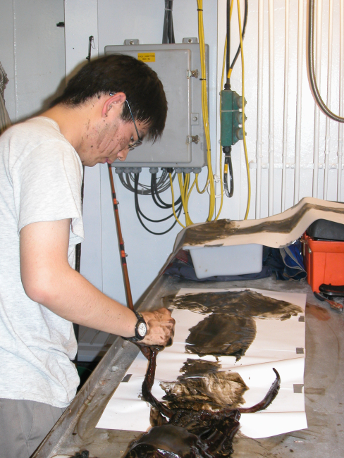 Preparing gyatoku - Japanese fish prints, in this case attempting to produceprints of squid