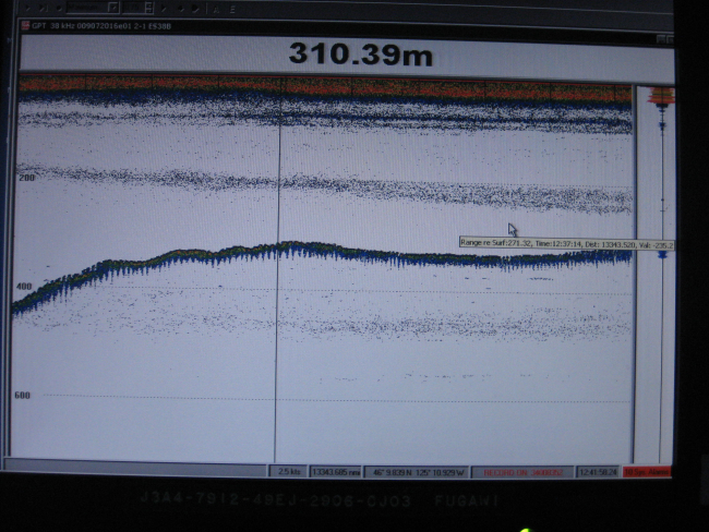 Light trace above bottom is caused by concentration of mid-water lanternfish,krill, and other small biota