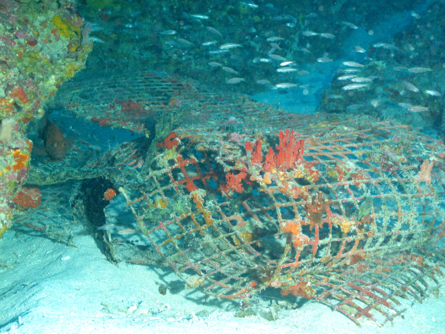 Marine debris - an old deserted fish trap now serving as habitat for a varietyof species