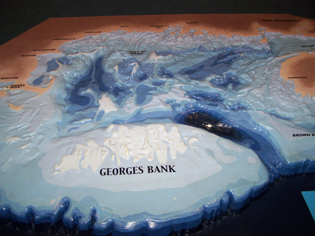 A 3-D model of Georges Bank at the Woods Hole Aquarium