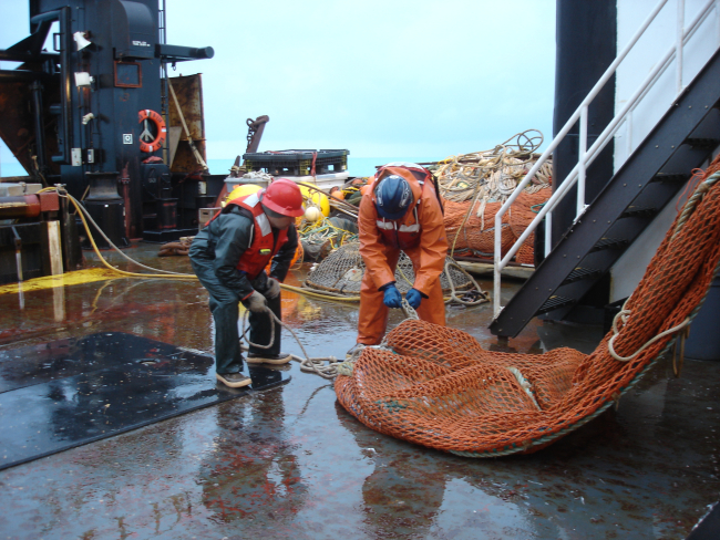 Untying midwater trawl codend