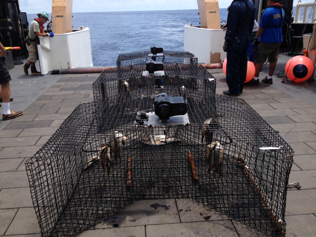 Chevron traps on deck ready for deployment