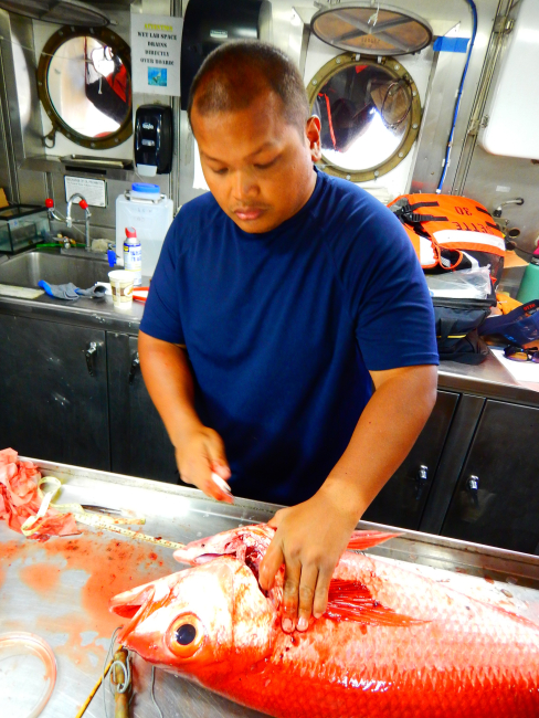 Biological samples from Long-tail Red Snapper (Onaga)