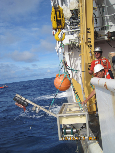 Deploying PIFSC moored video camera (note baited squid)