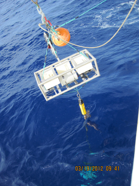 Deploying PIFSC moored video camera (note baited squid)