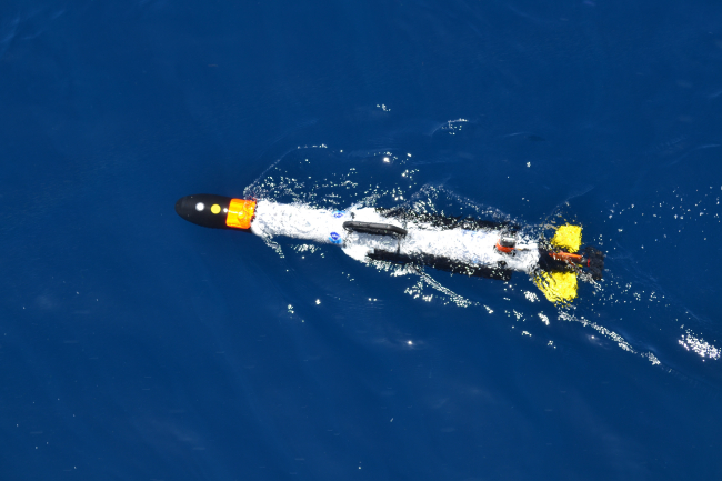 The autonomous underwater vehicle begins its pre-set mapping mission