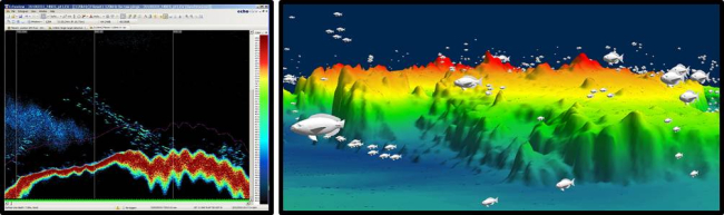 Artist's conception of output of Simrad fish-finding sonar