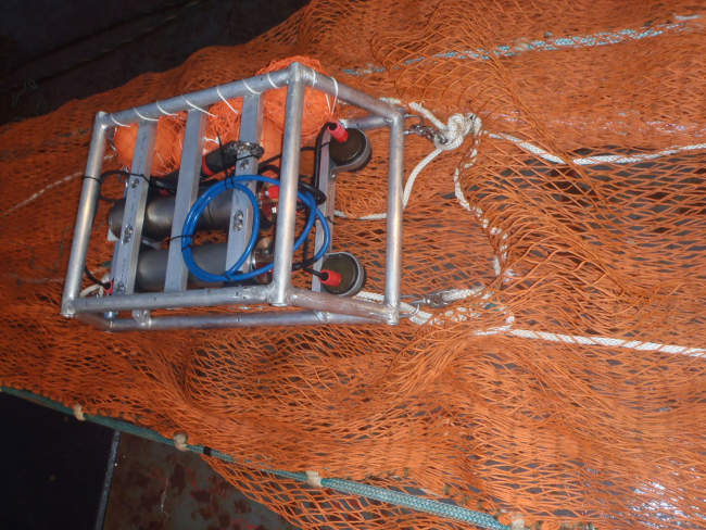 Trawl cam attached to trawl net