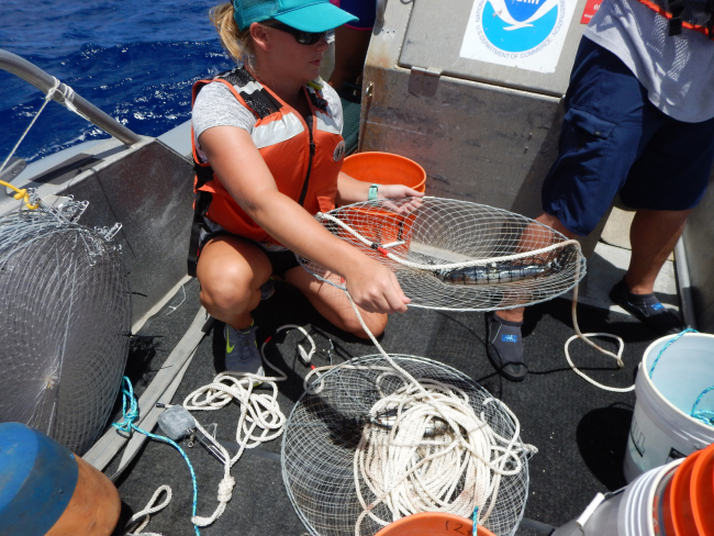 OES Small boat kona crab ring net deployment