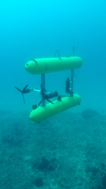 A SeaBED-class AUV designed by Woods Hole Oceanographic Institution and jointlyowned and operated by NOAA's Northwest Fisheries Science Center and thePacific Islands Fisheries Science Center (PIFSC)