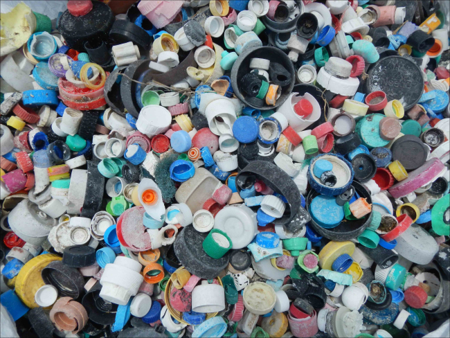 Some of the 4781 bottle caps collected on Midway Atoll in April, 2013