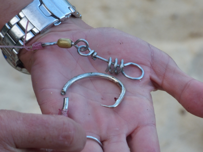 Barbed hook removed from monk seal