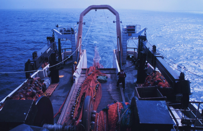 Streaming net from NOAA Ship MILLER FREEMAN