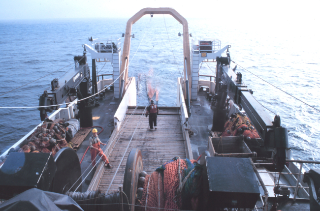 Hauling back net from NOAA Ship MILLER FREEMAN