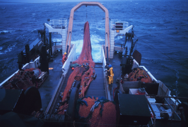 Deploying trawl net on the NOAA Ship MILLER FREEMAN