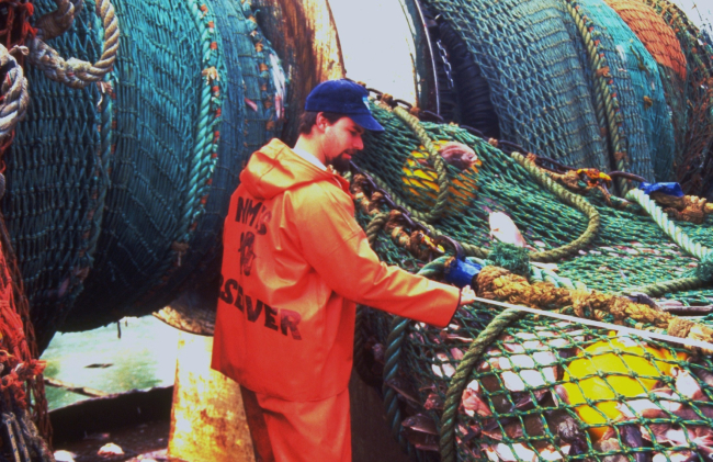 A National Marine Fisheries Service observer checks the dimensions of a net andits catch