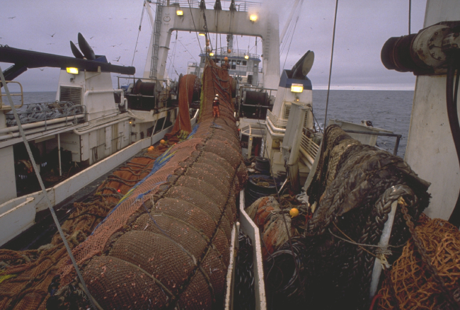 Bringing a huge trawl aboard a commercial fishing vessel