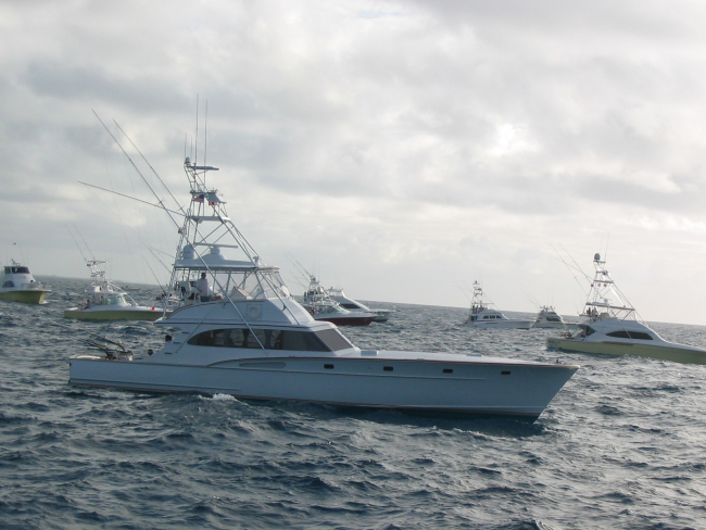 Sport fishing boats during tournament