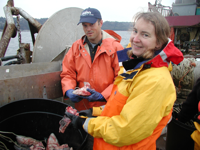 Deborah McArthur helps set bait to attract Puget Sound six gill sharksduring cruise