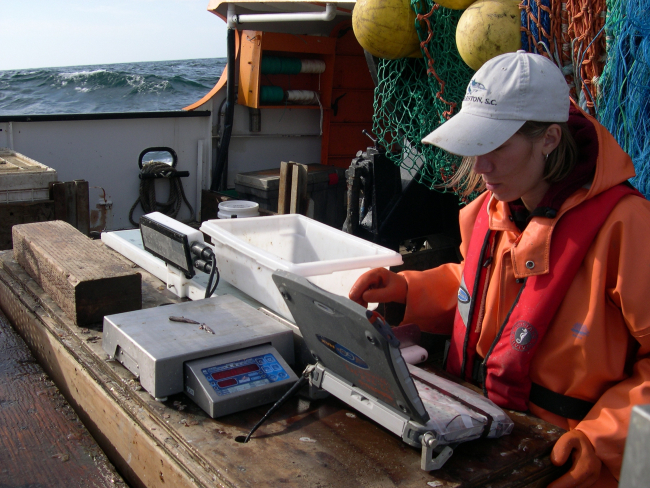 NOAA Fisheries employee Stacey Miller enters data on the computer thatis part of a NOAA award winning portable sampling station during the2003 west coast groundfish trawl survey aboard the F/V Excalibur