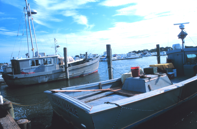 Multi-purpose fishing vessels tied up at Indian River