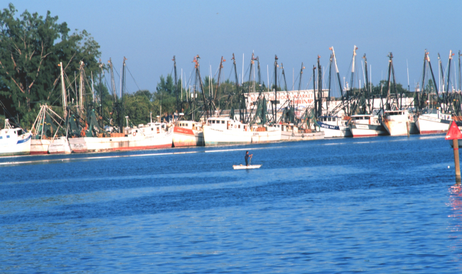 Shrimp fleet docked along the Caloosahatchee River