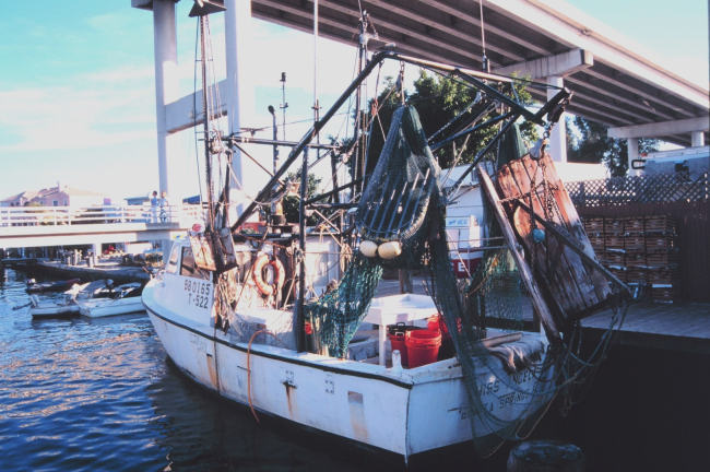 A shrimp trawler at Snug Harbor along the Caloosahatchee River