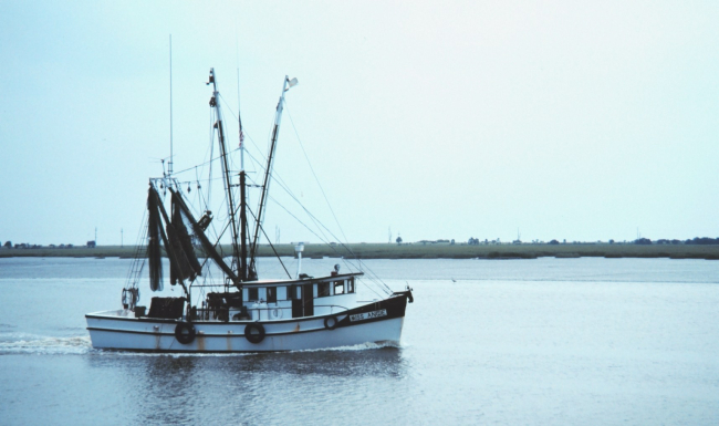 A shrimp boat approaching the Jekyll Island Municipal Pier